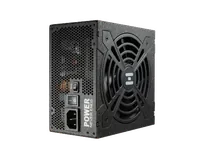 FSP HG2-1000 unité d'alimentation d'énergie 1000 W 20+4 pin ATX ATX Noir - 2