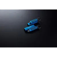 Kingston Technology IronKey Keypad 200C USB-C de 256 Go, FIPS 140-3 niveau 3 AES-256 - 14