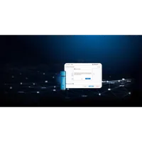 Kingston Technology IronKey 256Go Vault Privacy 50 chiffrée AES-256, FIPS 197 - 17