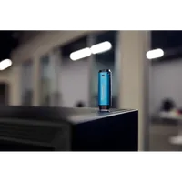 Kingston Technology IronKey 256Go Vault Privacy 50 chiffrée AES-256, FIPS 197 - 11