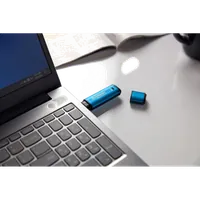 Kingston Technology IronKey 256Go Vault Privacy 50 chiffrée AES-256, FIPS 197 - 13