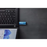 Kingston Technology IronKey 256Go USB-C Vault Privacy 50C chiffrée AES-256, FIPS 197 - 9