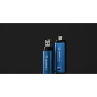 Kingston Technology IronKey 256Go USB-C Vault Privacy 50C chiffrée AES-256, FIPS 197 - 11