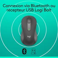 Logitech Souris Signature M650 M *910-006253 - 12