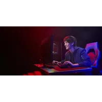 Kingston Technology FURY Beast 16 Go 5200 MT/s DDR5 CL40 DIMM Black - 14