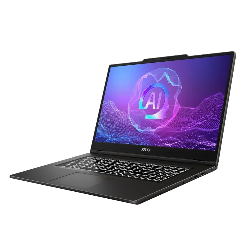 MSI VenturePro 17 A2RWFG-006FR Intel Core 5 210H Netbook 43,2 cm (17") Full HD 16 Go DDR5-SDRAM 512 Go SSD NVIDIA GeForce RTX 5060 Wi-Fi 6E (802.11ax) Windows 11 Home Gris