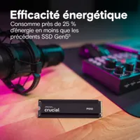 SSD Crucial P510 1To NVMe PCIe Gen5 M.2 avec dissipateur thermique - 4