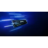 Kingston Technology 2T FURY RENEGADE G5 M.2 2280 NVMe SSD - 10