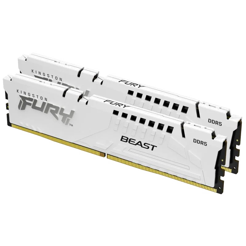 Kingston FURY Beast DDR5 32 Go 6000 MT/s CL30 (Kit de 2) Blanc EXPO