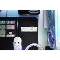 Kingston FURY Beast DDR5 32GB 6000MT/s CL30 RGB Blanc EXPO - 10