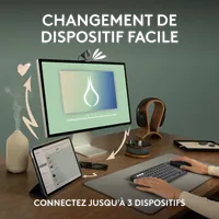 Souris Logitech Pebble 2 M350s Graphite - Ambidextre, Sans Fil Bluetooth & RF, 4000 DPI - 10