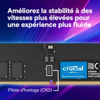 Module de Mémoire Crucial Pro DDR5 6400 MT/s - 32 Go - 4
