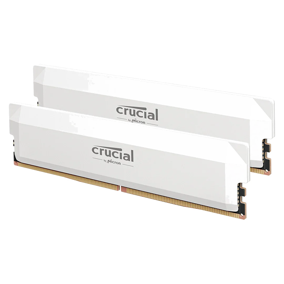 Barrette mémoire 16Go DIMM DDR5 Crucial Pro OC 6400MHz (Blanc) Version OEM (Tray)