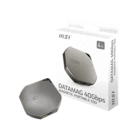 MSI DATAMAG 40Gbps - SSD Externe 1 To USB-C 3.2 Gen 2x2 Argent