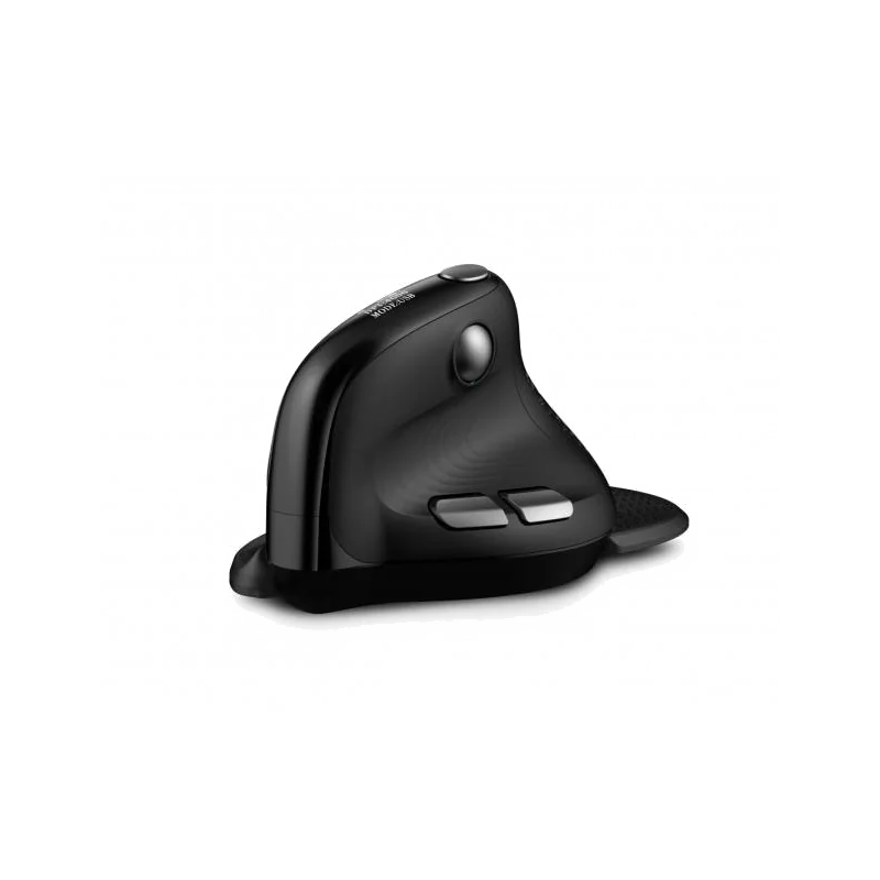 Souris Ergonomique Verticale Sans Fil Bluetooth & RF 4000 DPI Noir
