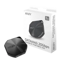 MSI DATAMAG 20GBPS 1TB lecteur à circuits intégrés externe 1 To USB Type-C USB 3.2 Gen 2x2 Noir - 2