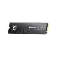MSI SPATIUM M571 DLP PCIe 5.0 NVMe M.2 4T disque SSD 4 To PCI Express 5.0 3D NAND - 2