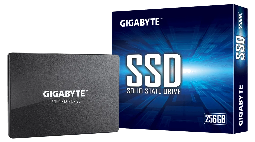 GIGABYTE GP-GSTFS31256GTND SSD 256 Go 2.5" SATA III