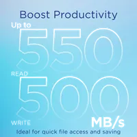 Integral INSSD256GS625V2P - Disque SSD 256 Go 2.5" SATA III - 3