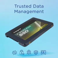 Integral INSSD256GS625V2P - Disque SSD 256 Go 2.5" SATA III - 5