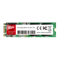 SSD Silicon Power Ace A55 M.2 2280 512Go SATA III