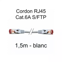 Câble Réseau RJ45 Catégorie 6 FTP Plat 25cm Noir - 3