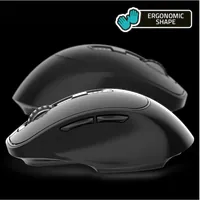 Caractéristiques principales