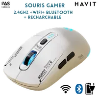 Souris Gamer Sans Fil RGB Havit GAMS64WB - Liberté et Précision - 1