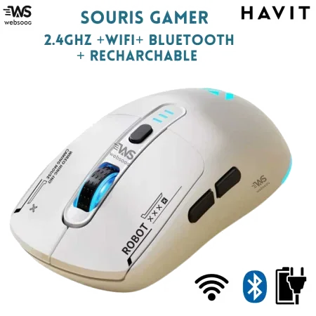 Souris Gamer Sans Fil RGB Havit GAMS64WB - Liberté et Précision