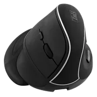 Caractéristiques principales