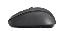 Trust Yvi souris RF sans fil Optique 1600 DPI - 3