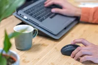 Trust Primo souris Voyage Ambidextre RF sans fil Optique 1600 DPI - 7