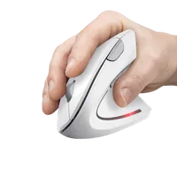 Trust Verto souris Bureau Droitier RF sans fil Optique 1600 DPI - 2