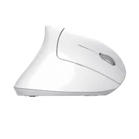Trust Verto souris Bureau Droitier RF sans fil Optique 1600 DPI - 7