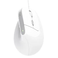 Trust Bayo II - Souris Optique Ergonomique USB - 3