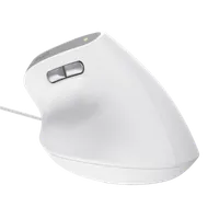 Trust Bayo II - Souris Optique Ergonomique USB - 7