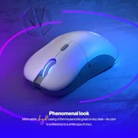 Souris Gamer Filaire Endorfy GEM Onyx White - RGB - 2