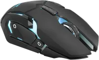 Souris Gaming ENDORFY GEM Plus Filaire USB-C - Noir