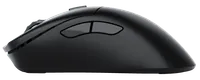Glorious Gaming Model D 2 PRO Wireless souris Droitier RF sans fil Optique 26000 DPI - 6