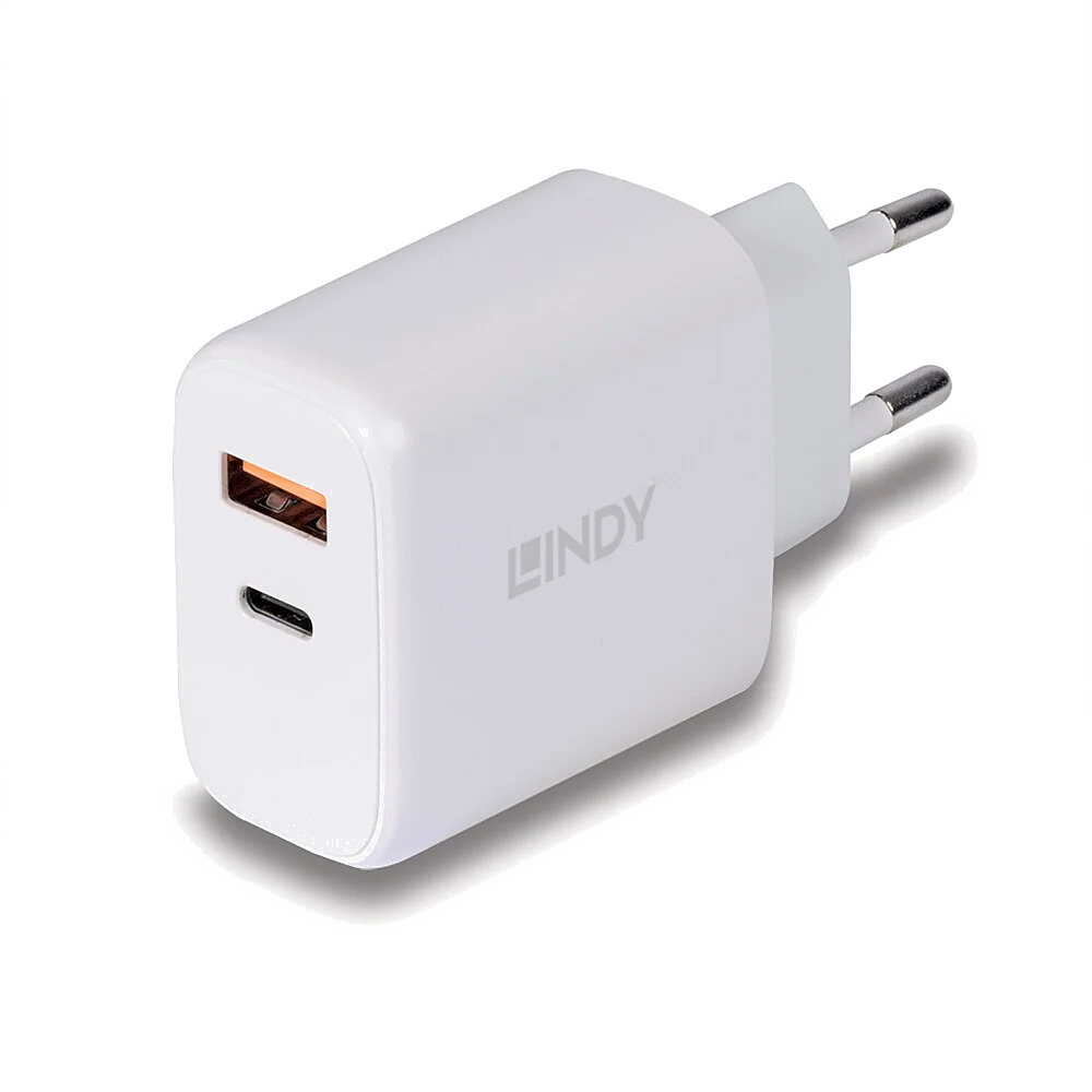 Lindy Chargeur USB Type A & C 30W