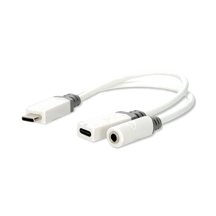 Adaptateur USB-C vers VGA 10cm Blanc - Nedis