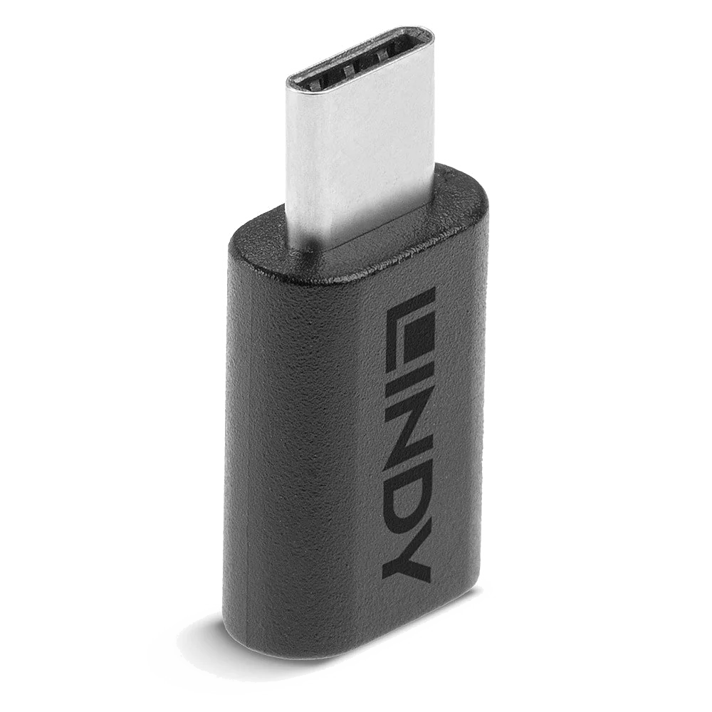 Lindy Adaptateur USB 3.2 Type-C Mâle vers Femelle