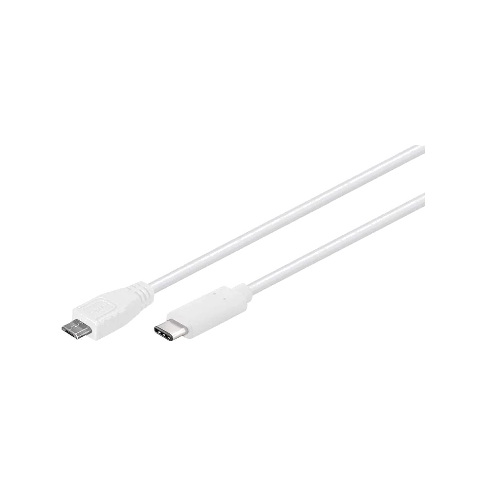 Câble USB 3.0 Goobay Type A vers Type C - 20cm - Blanc