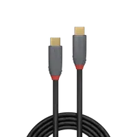 Lindy Câble USB 3.2 type C vers C, 20Gbit/s, 100W, PD, Anthra Line, 1m - 2