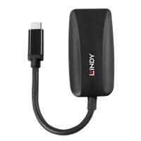 Lindy Convertisseur USB Type C vers DisplayPort 8K60 - 2