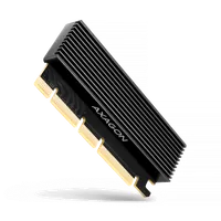 Axagon PCEM2-XS carte et adaptateur d'interfaces Interne M.2