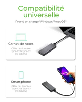 ICY BOX IB-1817M-C31 Enceinte ssd Gris M.2 - 2