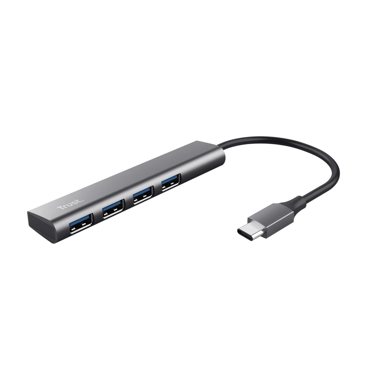 Trust Halyx USB 3.2 Gen 1 (3.1 Gen 1) Type-A 5 Mbit/s Gris