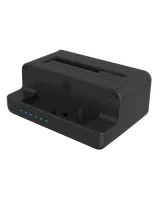 ICY BOX IB-2914MSCL-C31 USB 3.2 Gen 2 (3.1 Gen 2) Type-C Noir - 2