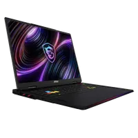 MSI Raider 18 Max HX A2WJ-1425FRY Intel Core Ultra 9 290HX Plus Ordinateur portable 45,7 cm (18") WQUXGA 64 Go DDR5-SDRAM 2 To SSD NVIDIA GeForce RTX 5090 Wi-Fi 7 (802.11be) Windows 11 Pro Noir Français - 9